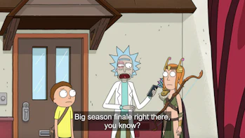 Rick And Morty Talking Cat Could Be Key To The Season 4 Finale