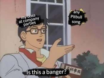 pitbull pigeon meme