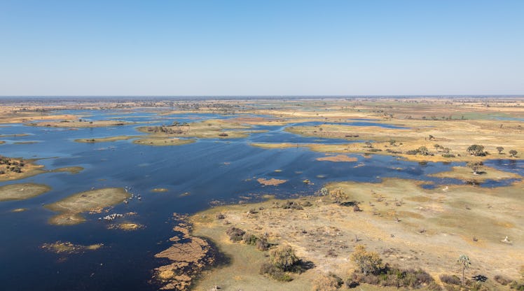 Okavango delta, 