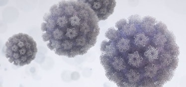 HPV virus 