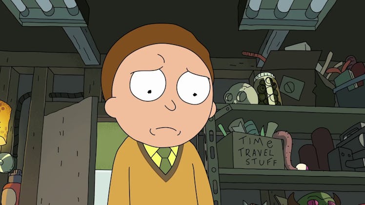 Morty in the "Pickle Rick" episode of 'Rick and Morty'