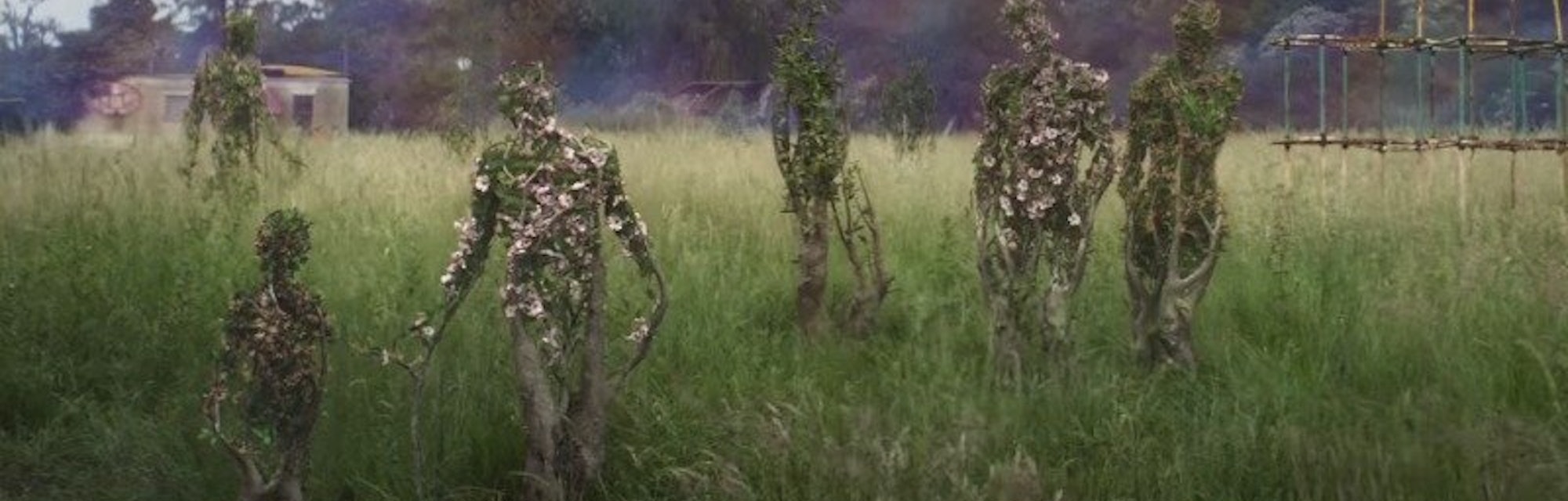 Annihilation Why You Need To Read The Southern Reach Trilogy