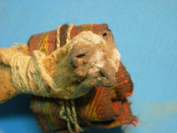 This thousand-year-old pouch, made from three fox snouts sewn together, contained chemical residues ...