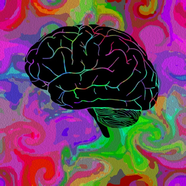 Мозг человека компьютер. Мозг машины. Hallucinogen in Dub картинка. Citor3 Hallucinations.