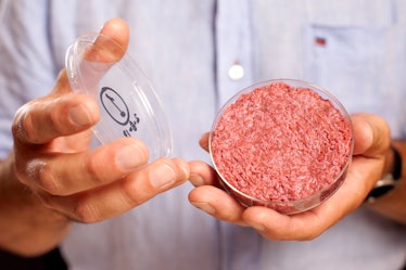 The world's first lab-grown burger, as held by Mark Post.