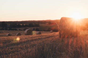 farms