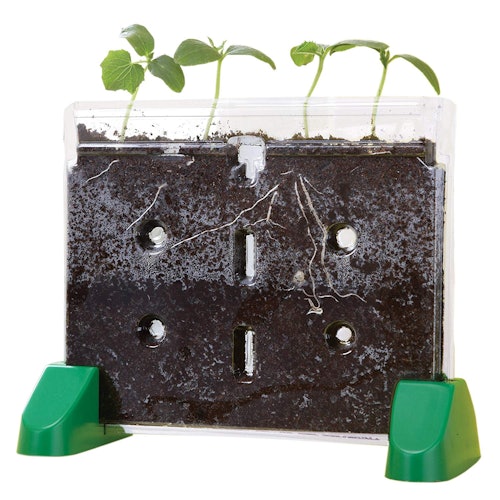 Educational Insights Sprout & Grow Window
