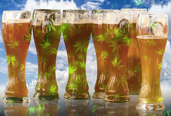 Why Does Beer Smell Like Weed? Blame SunLight Induced Chemistry