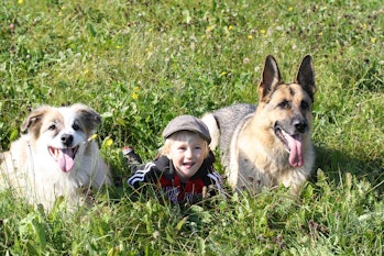 kids and dogs 