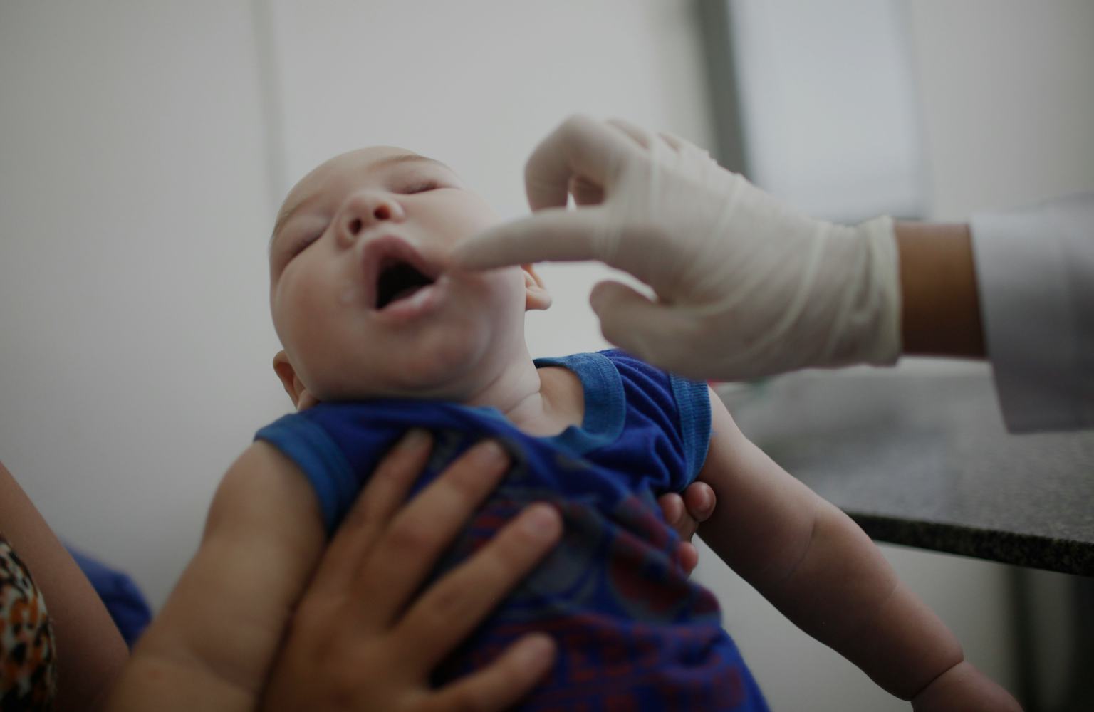 Larvicide Not Zika Virus Blamed For Brazils Birth Defects 