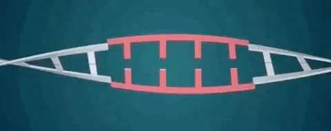 Gene Editing in the Human Body Just Happened for the First Time in the U.S.