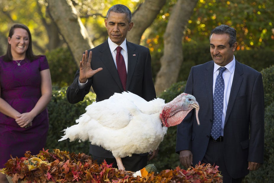 Behind The Turkey Pardoning Ritual