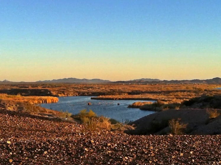 Imperial Wildlife Reserve, Yuma, Arizona