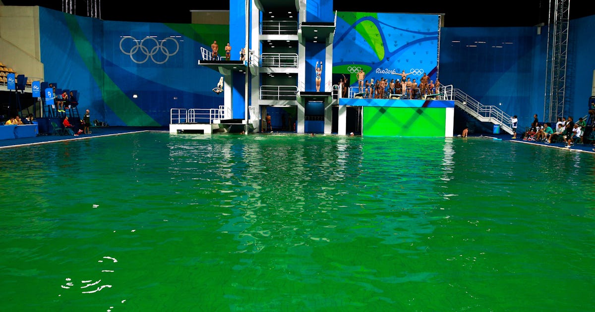 The Green Olympic Diving Pool Is Closed And Smells Like Farts The Green Olympic Diving Pool Is Closed And Smells Like Farts
