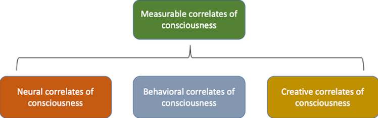 There are three types of ways to gauge consciousness.