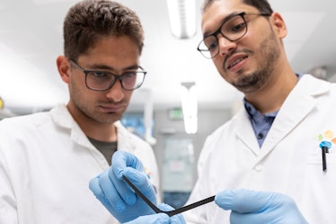 Liam Swanepole (left) and Abdullah Almansouri demonstrate the flexibility of the electronic skin.