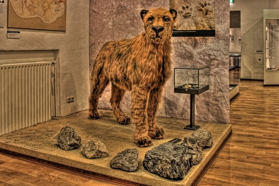 extinct cave lion