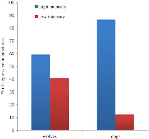 Humans Are to Blame for Making Dogs So Bad at Handling Conflict