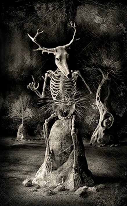 [Image: spooky-pooka.jpeg?w=438&h=709&fit=crop&crop=faces]