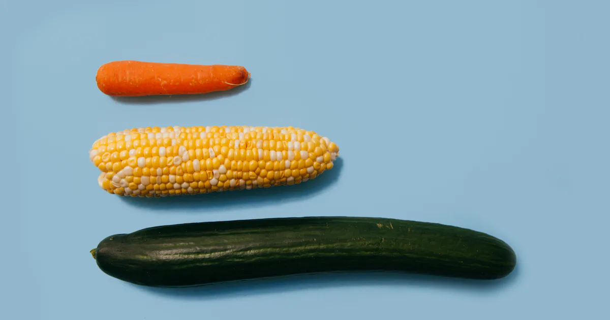 Scientists Uncover the Surprising Way the Penis Forms
