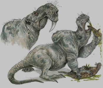 Ranking The 10 Freakiest Creatures In Star Wars History