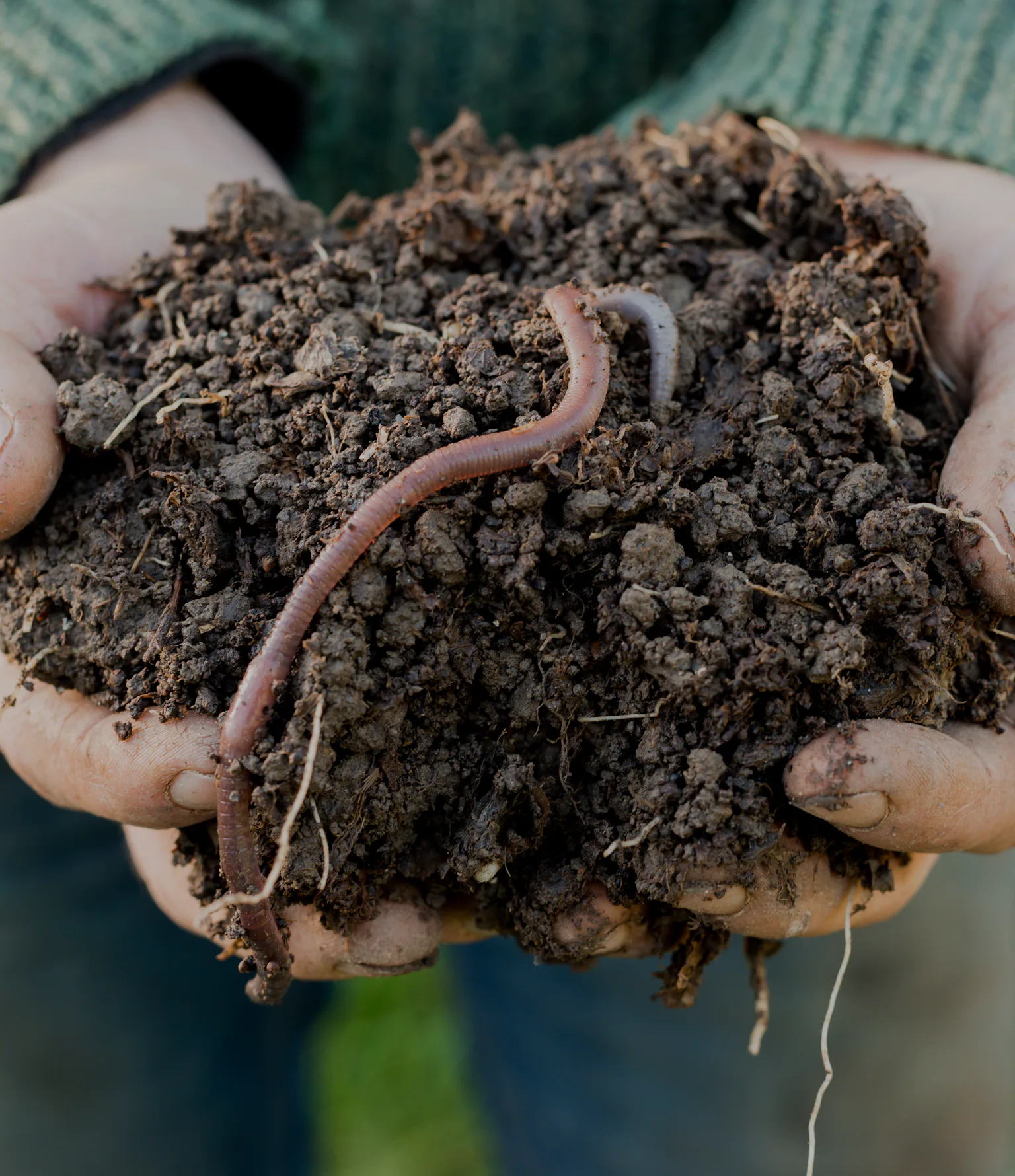 A hotter planet may change one of nature's most important unseen creatures