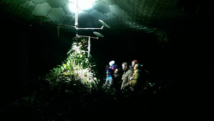 A group of people visiting the Lowline Lab