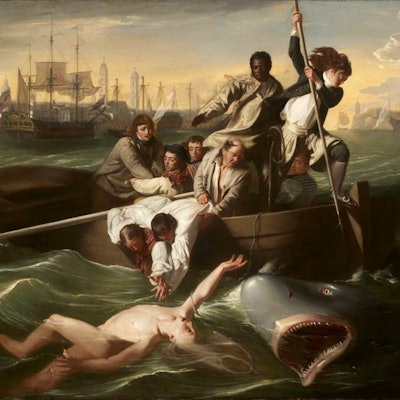 John Singleton Copley's painting called "Watson and the Shark"