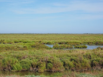 marsh, saltwater, climate 