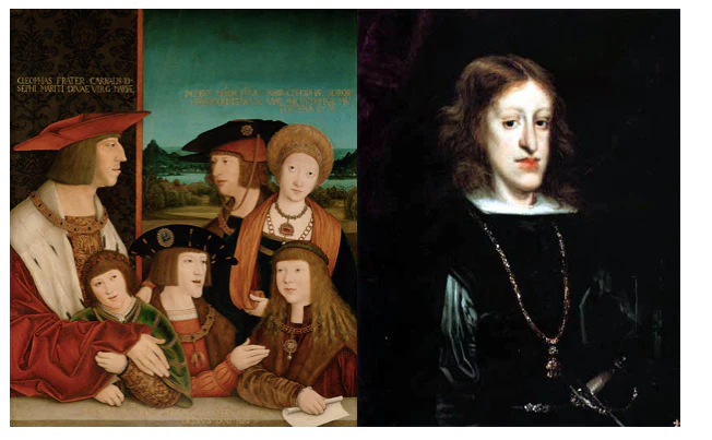 History's most famous chin officially linked to centuries of inbreeding