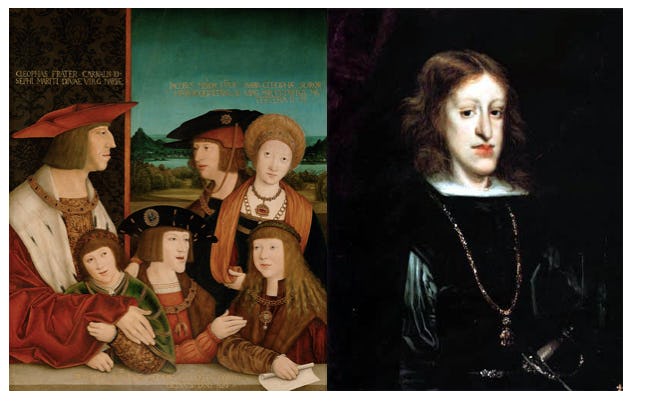 History's most famous chin officially linked to centuries of inbreeding