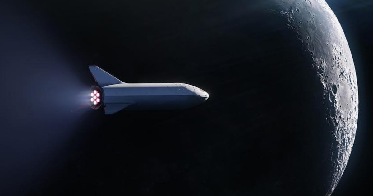 Elon kindpng dlf Elon Musk Explains the Science Behind Starship's Retro, Cartoon-Like Design