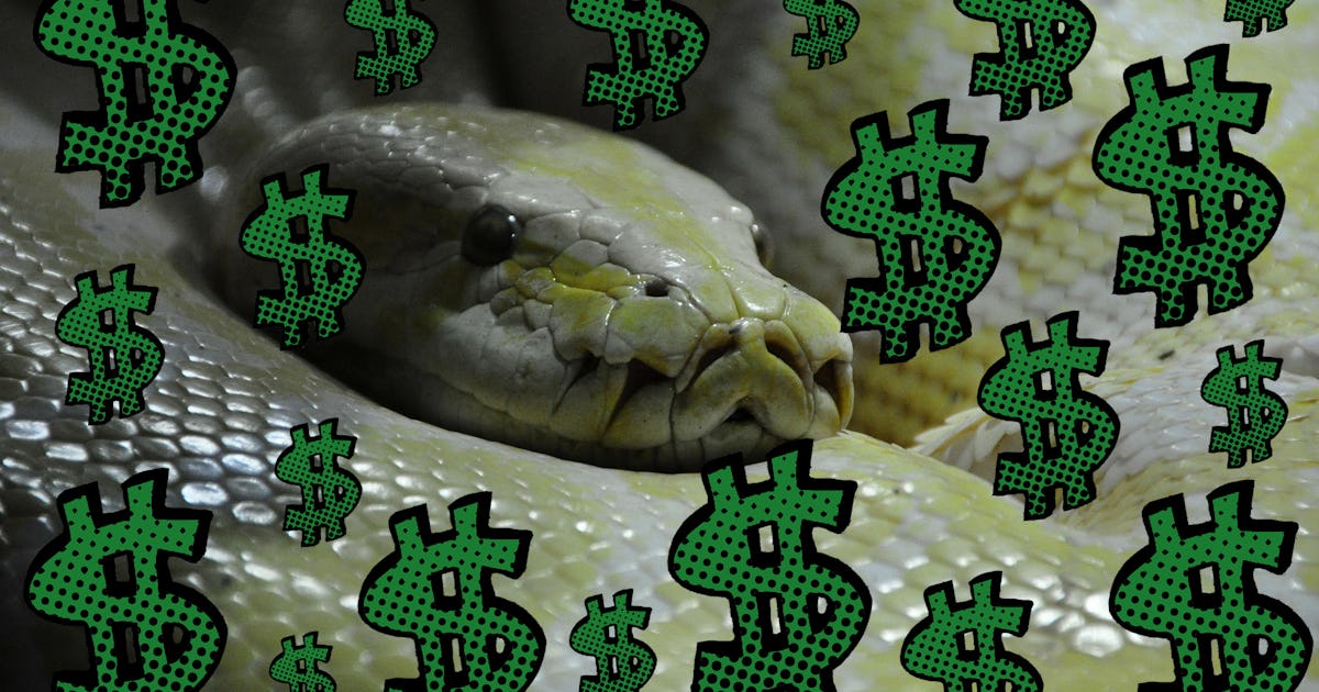Want to Make Money? Learn Python and Become a Data Scientist