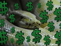 Collage picture of python and dollar signs