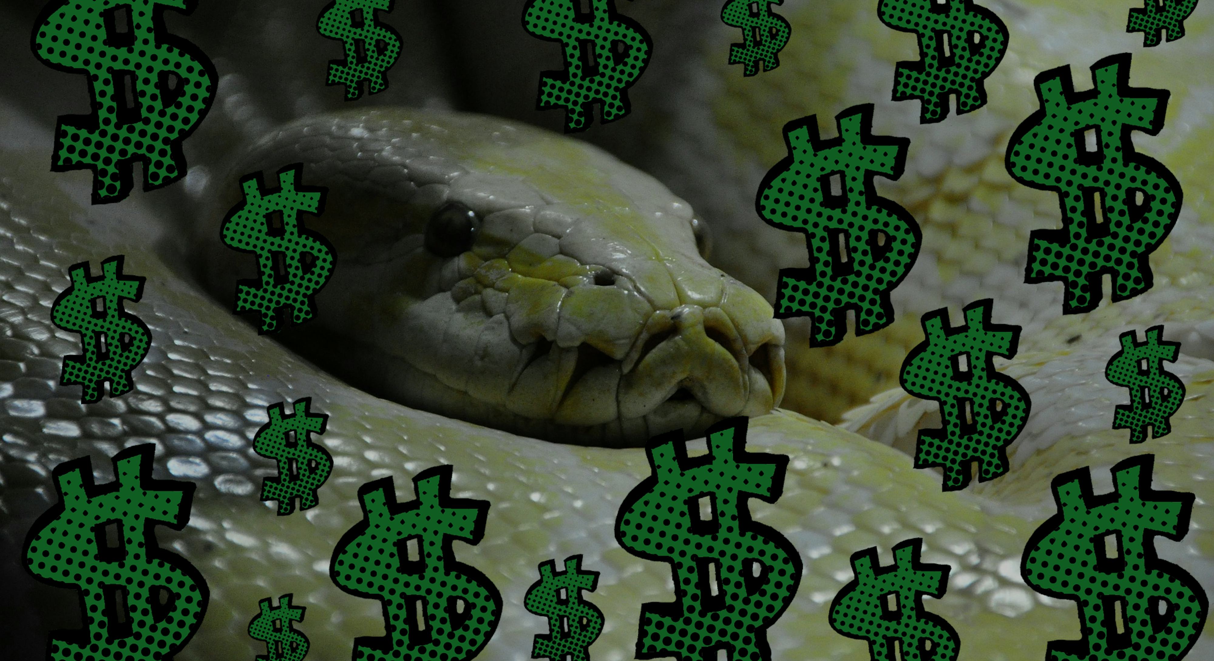 Want to Make Money? Learn Python and Become a Data Scientist