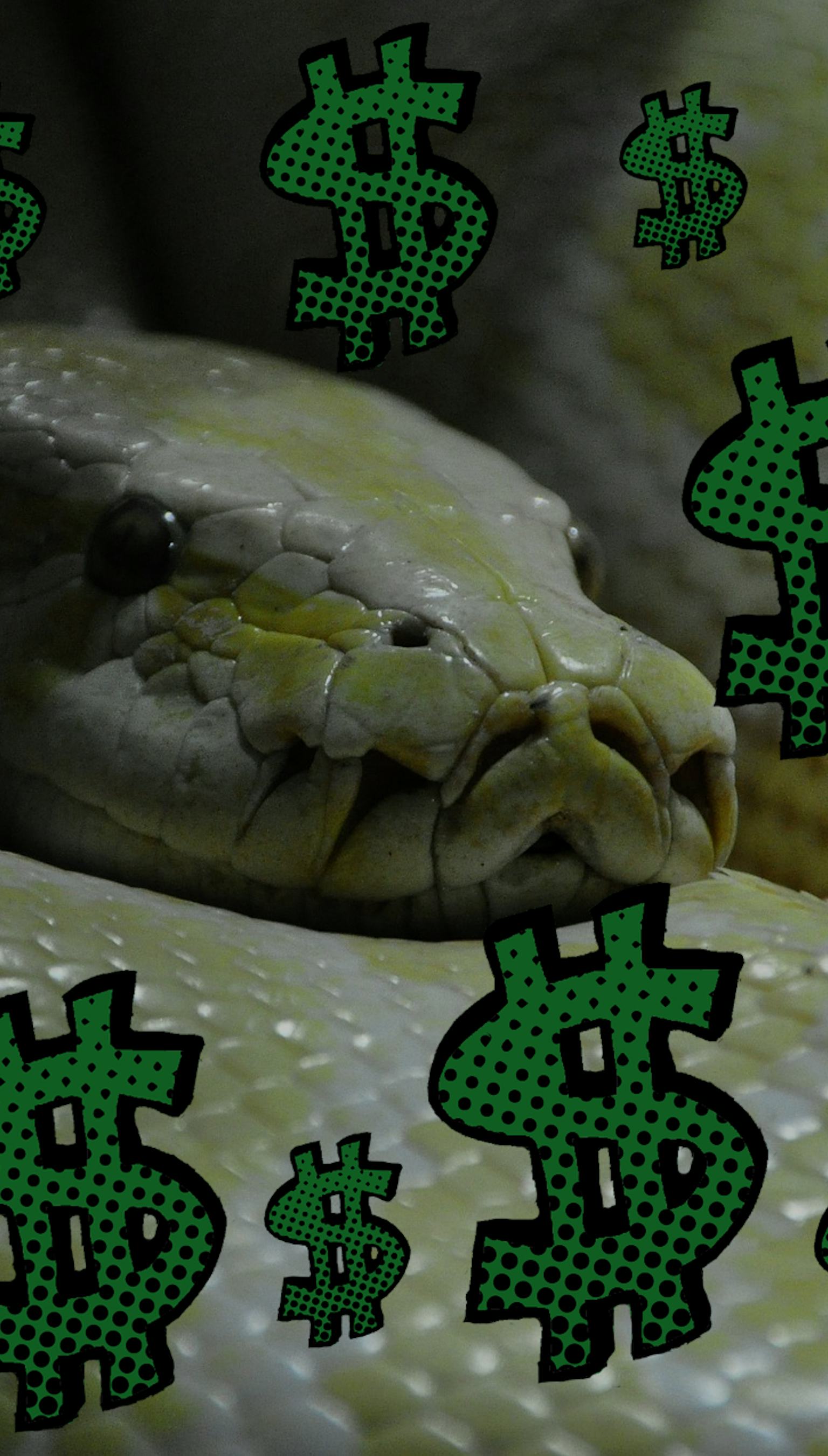 Want to Make Money? Learn Python and Become a Data Scientist