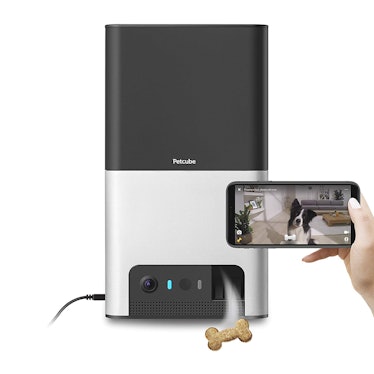 Petcube Bites 2: Smart Pet Camera with Treat Dispenser