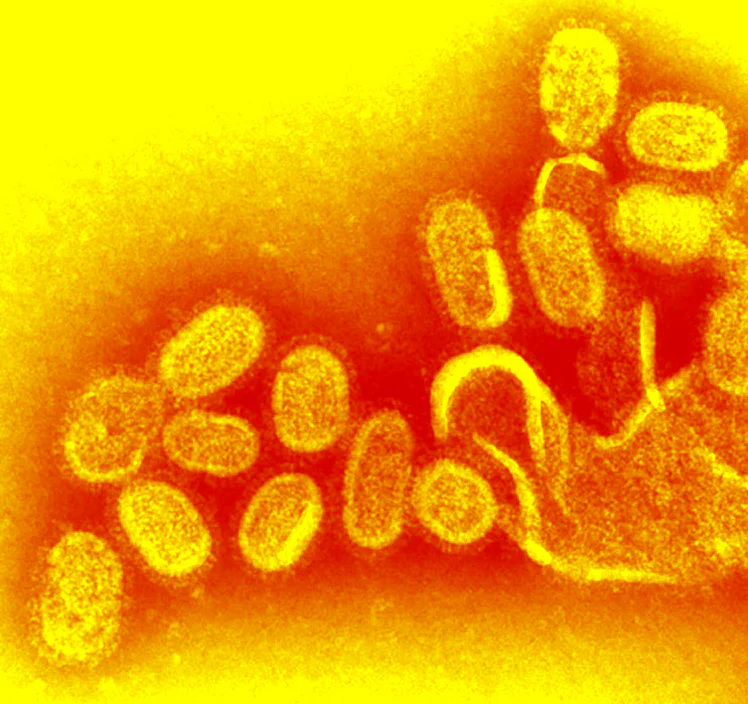 Flu Shot Pattern How The Flu Shot Actually Works