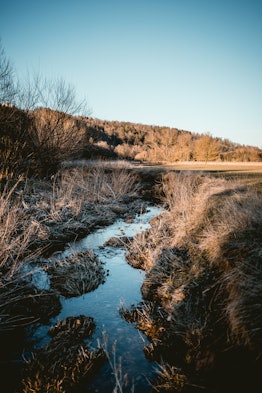 ditch stream water