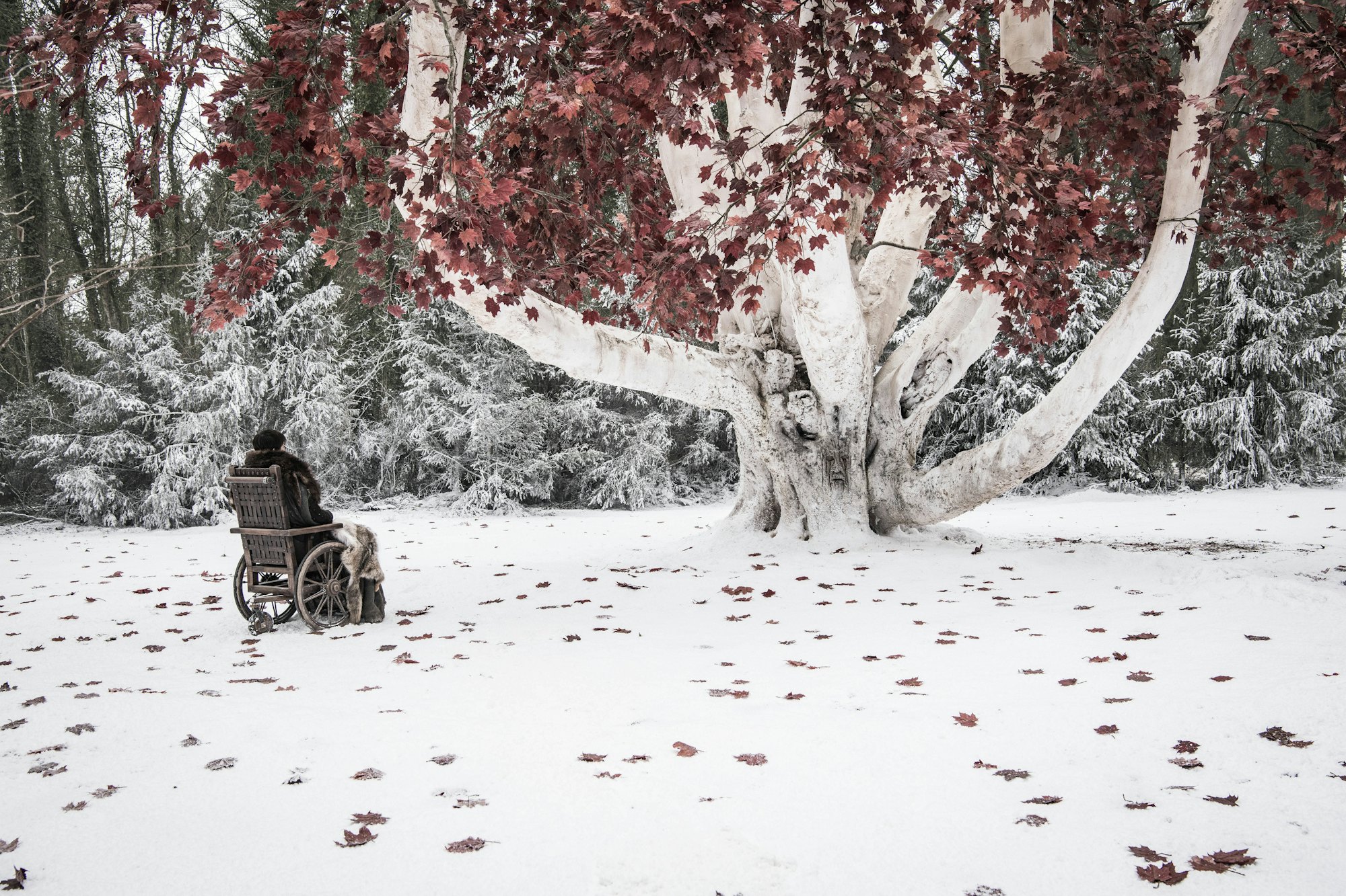 Game Of Thrones Season 8 Spoilers Did Bran Warg Into Drogon In