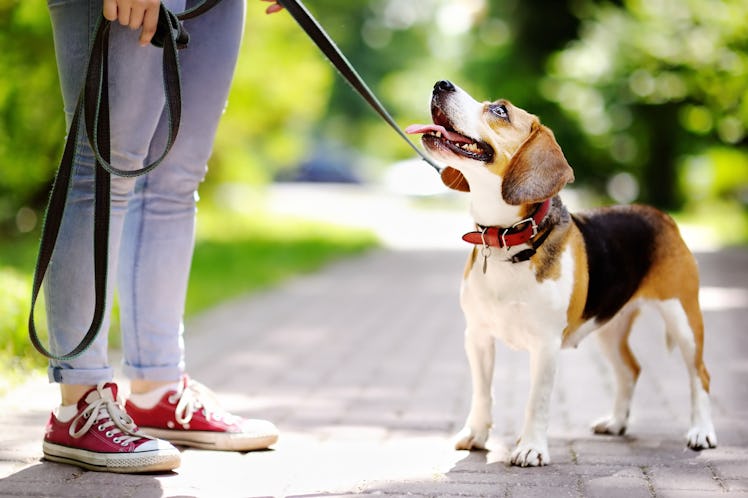 A woman walking her dog 