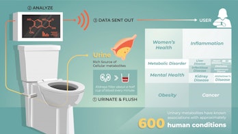 A possible smart toilet in action.