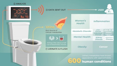 A possible smart toilet in action.