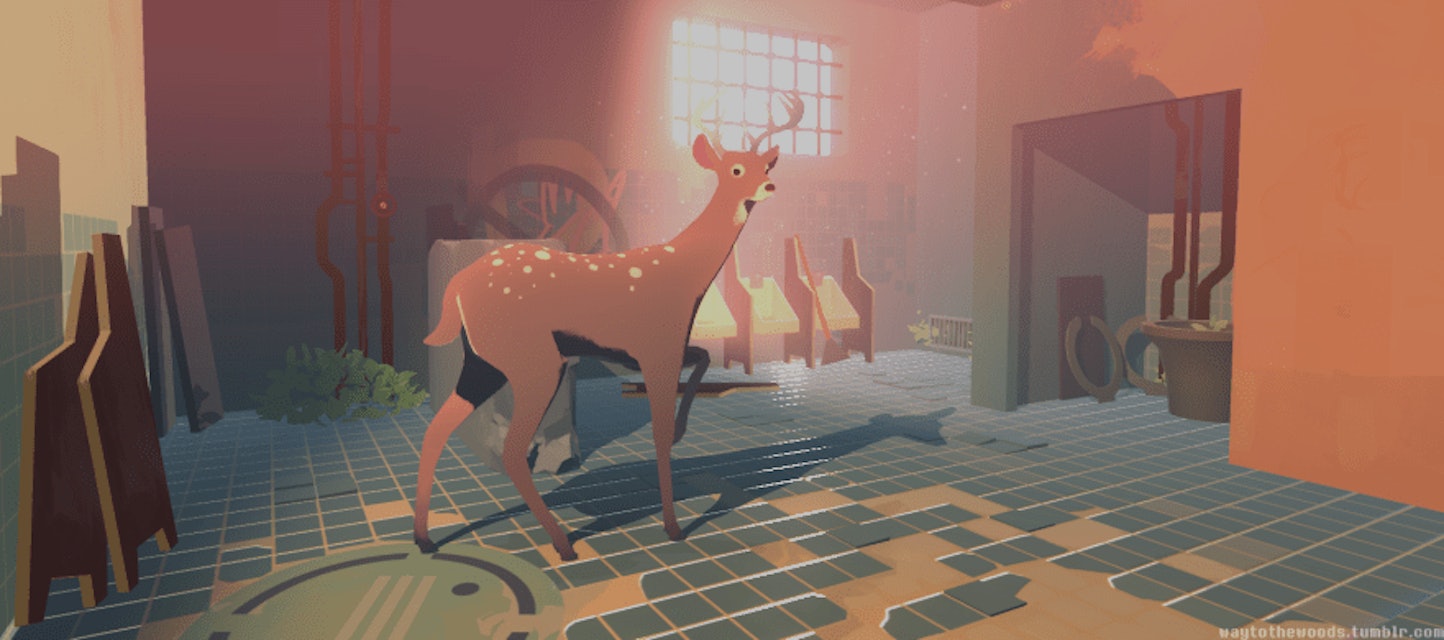 Way To The Woods Trailer Plot Release Date For The Xbox Deer Game