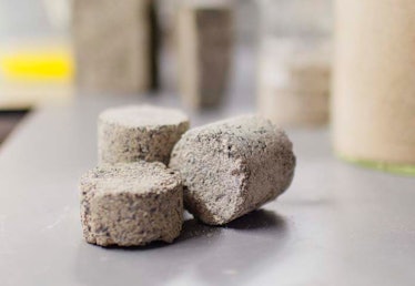 biobricks