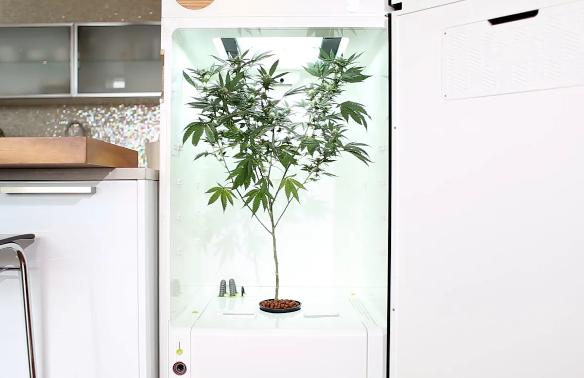 Гроубокс из шкафа своими руками пошагово 93 фото