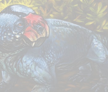 Scientists Who Discovered Bulbasaurus Didn’t Name It After a Pokémon