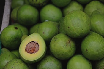 A sliced-open avocado on a pile of whole avocados