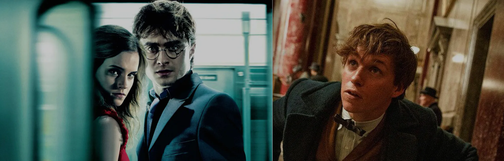 Newt Scamander Crossed Paths With Harry Potter During Prisoner Of Azkaban