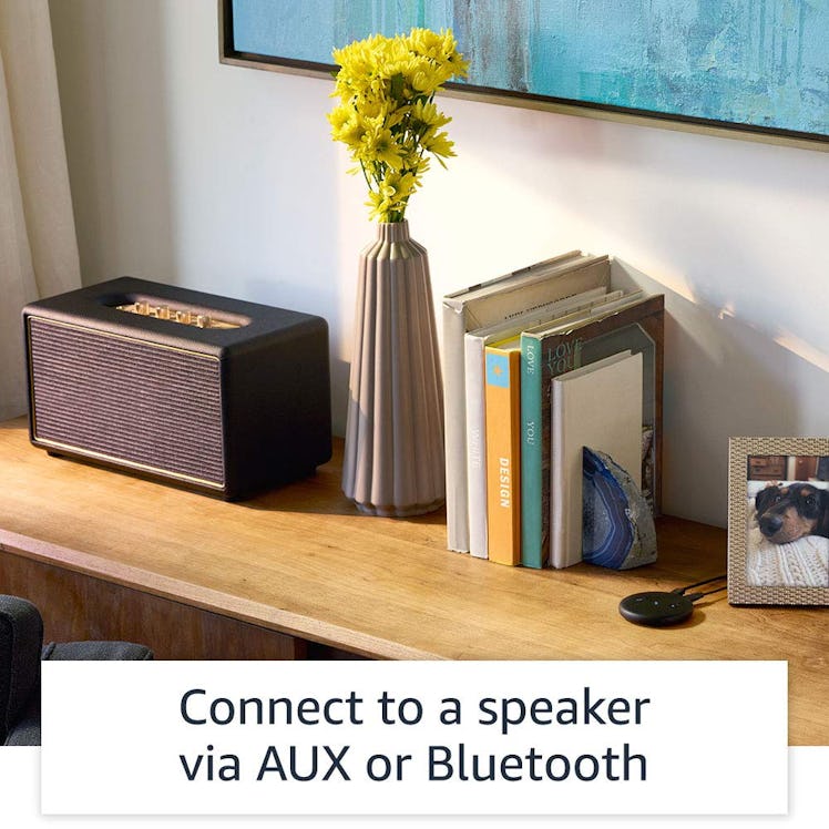 Echo Input – Bring Alexa to your own speaker- Black